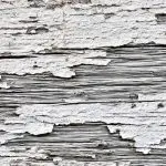 Close-up of peeling white paint on weathered wood siding, showing why exterior paint peels in cold climates.
