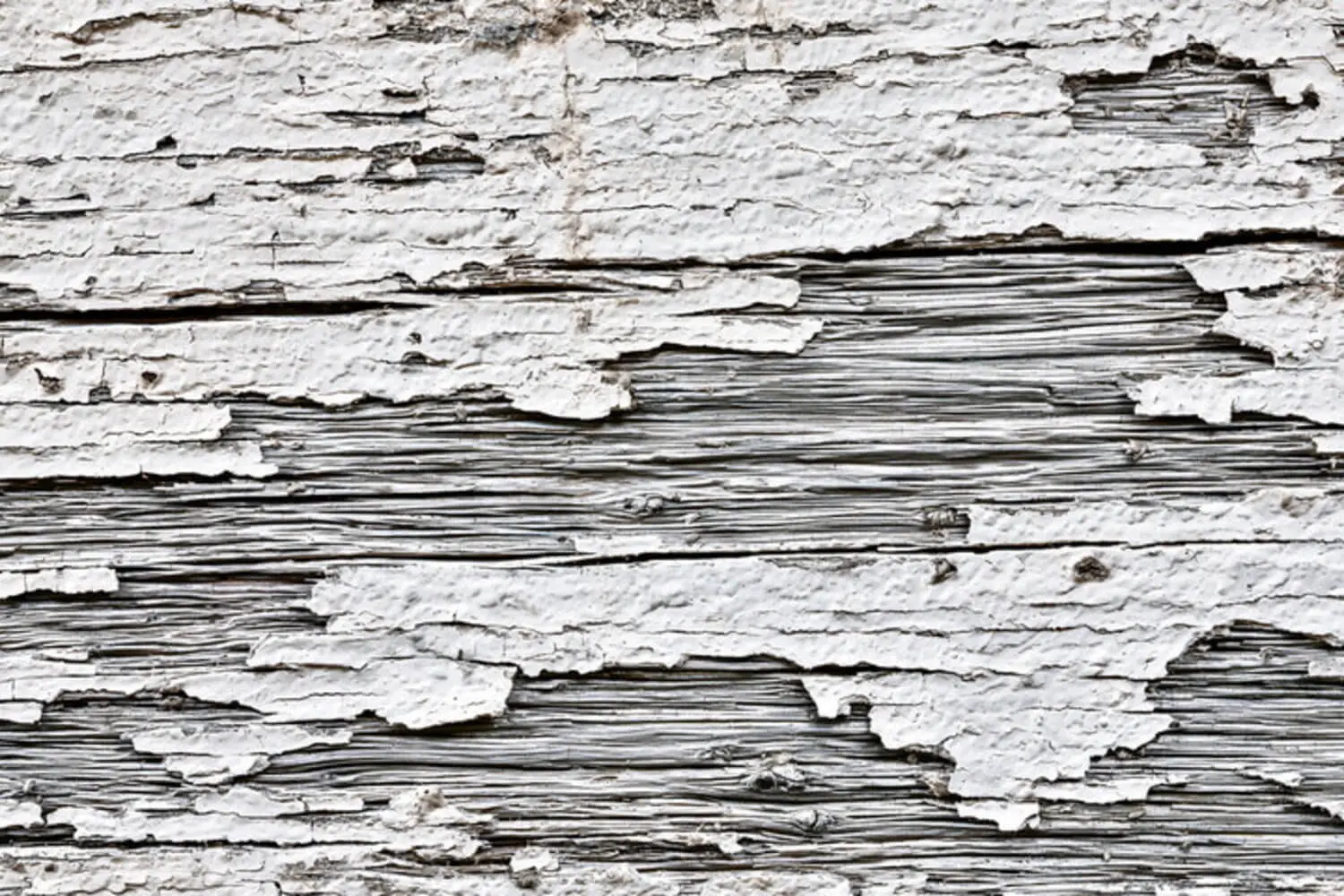 Close-up of peeling white paint on weathered wood siding, showing why exterior paint peels in cold climates.